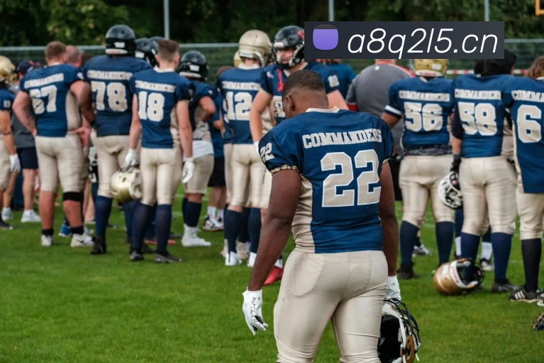 星空体育官方入口登录品牌故事